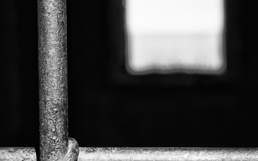 What is the #1 Leading Cause of Wrongful Convictions?